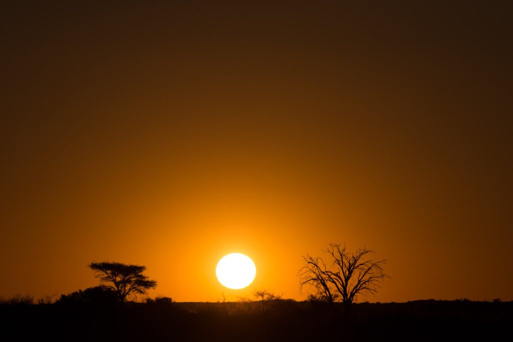 Kalahari Desert