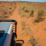 4x4 Route to Bitterpan, Kalahari Transfrontier National Park