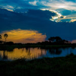 Sundowner in the Okavango Delta, Botswana