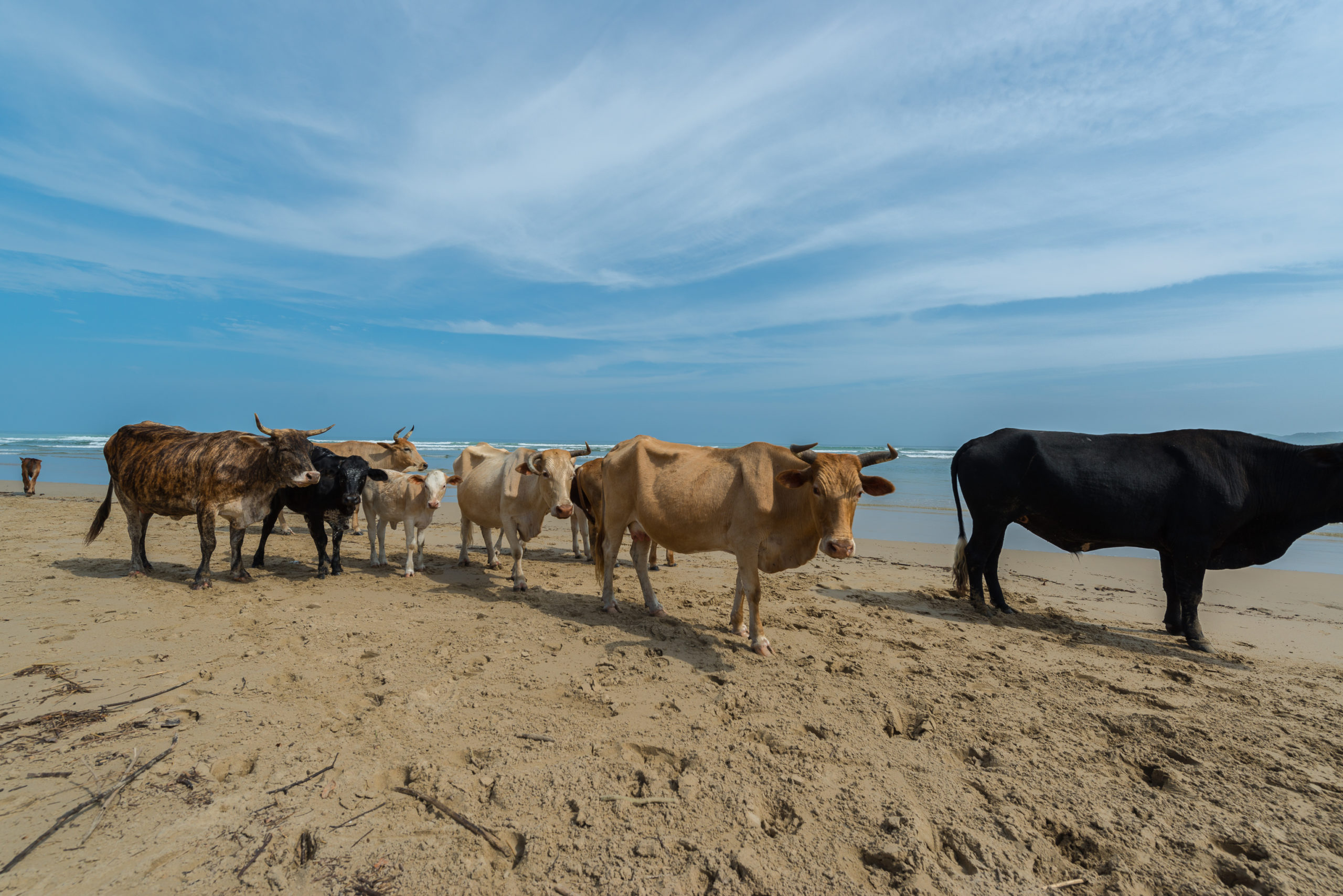 South Africa: Transkei