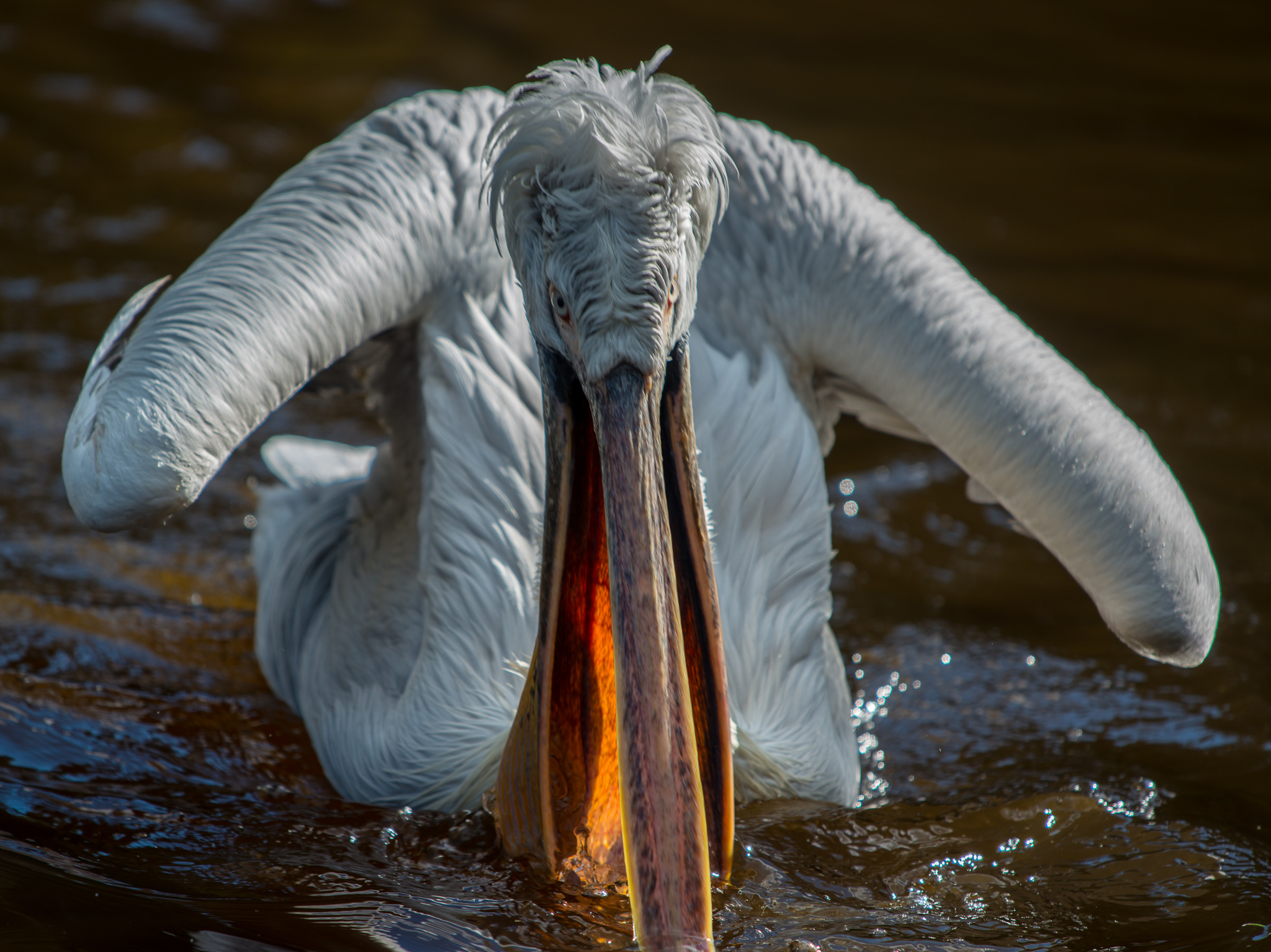 Weltvogelpark on Easter ’15