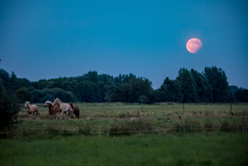 Partial Lunar Eclipse in Bremen on 7th of August 2017